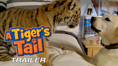 A Tiger's Tail Movie